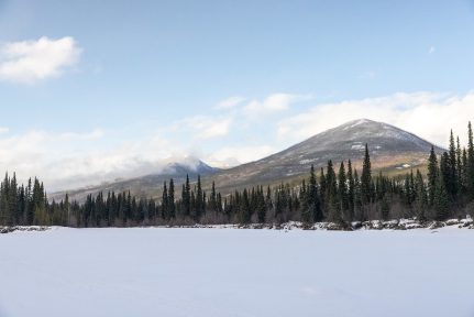 52410107949_0500b32619_c