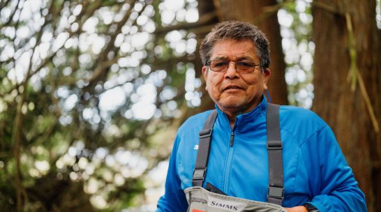 Andy Puglas Landscape